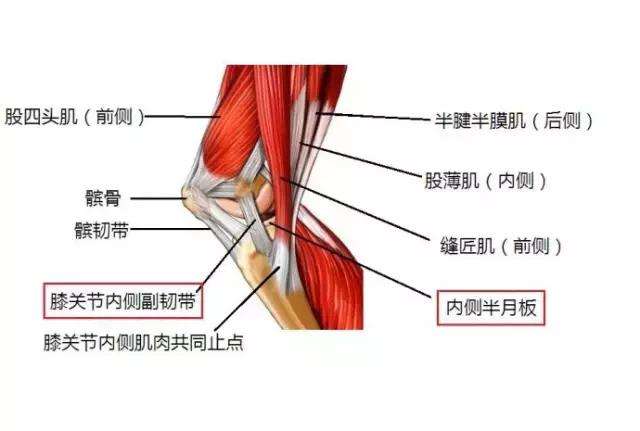 膝關節韌帶損傷