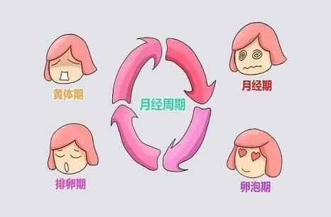 月經期